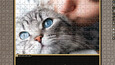Screenshot #6