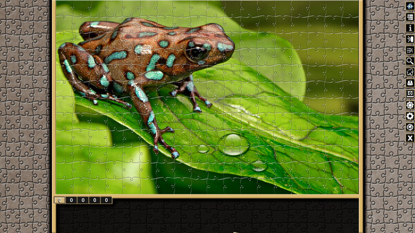 Pixel Puzzles Traditional Jigsaws Pack: Frogs