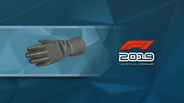 F1 2019: Gloves 'Double Grey'