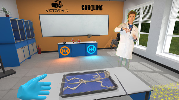 Dissection Simulator: Feline Edition screenshot 3