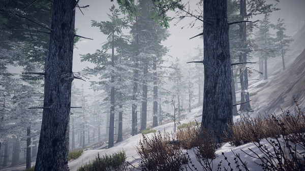 Screenshot 28