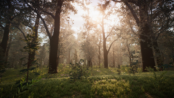 Screenshot 23