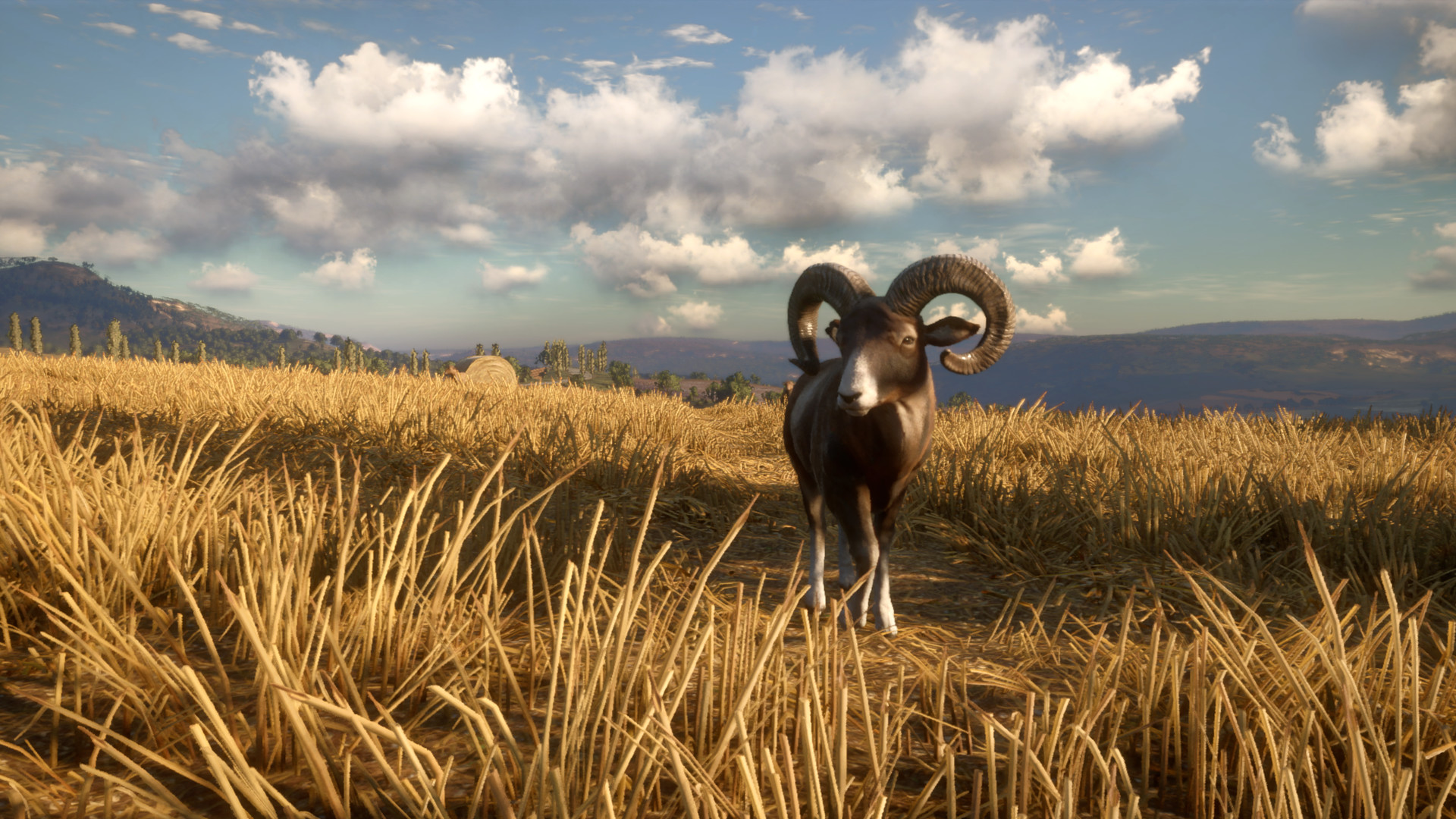 theHunter: Call of the Wild™ - Cuatro Colinas Game Reserve Featured Screenshot #1