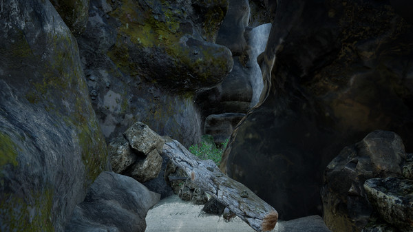 THE VR CANYON screenshot 6