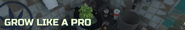 Weed Shop 3 video 1