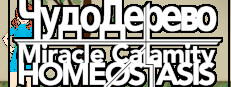 Miracle Calamity Homeostasis