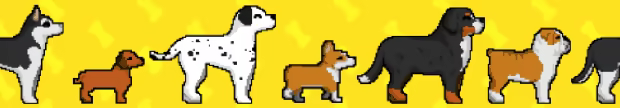 Puppy Cross video 3