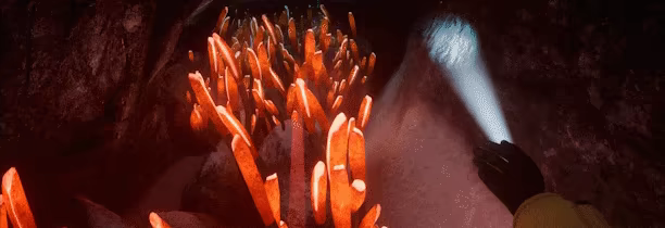Biolum video 5