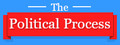 The Political Process header image