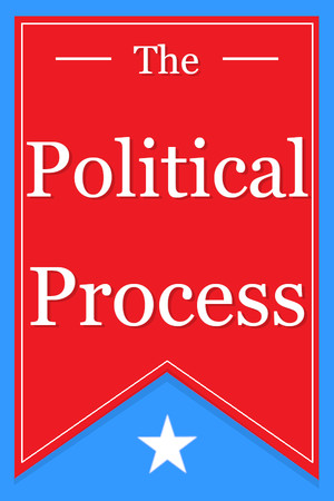 Cover art of The Political Process
