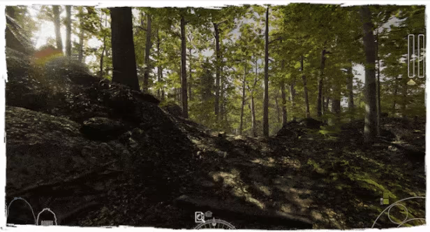 Forest Ranger Simulator video 11