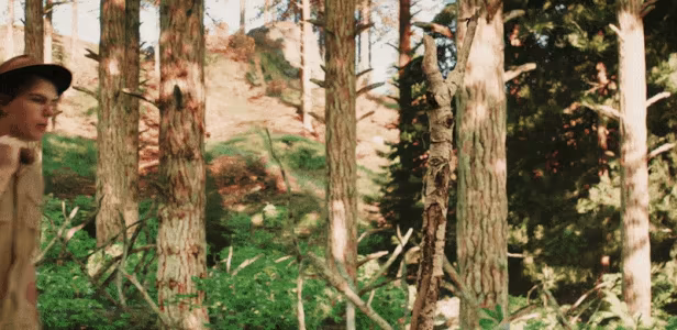 Forest Ranger Simulator video 4