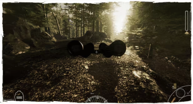 Forest Ranger Simulator video 13