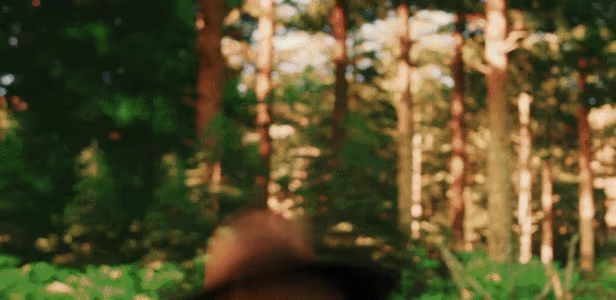 Forest Ranger Simulator video 9