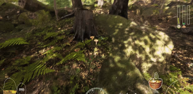 Forest Ranger Simulator video 5