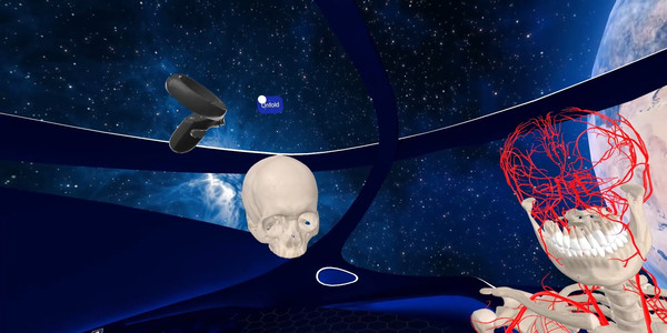 Elementary Anatomy: With Story Mode screenshot 1