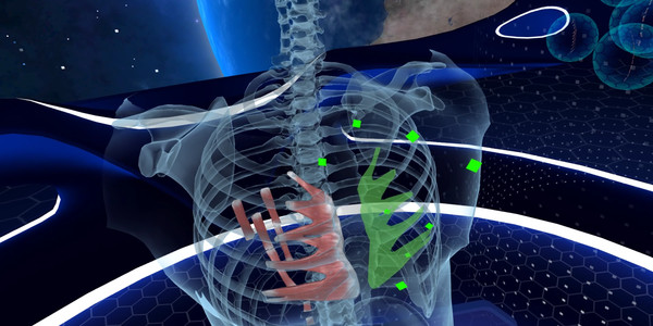 Elementary Anatomy: With Story Mode screenshot 6