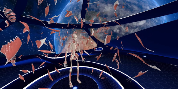 Elementary Anatomy: With Story Mode screenshot 5