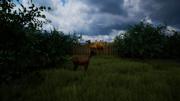 Screenshot z Country Road VR