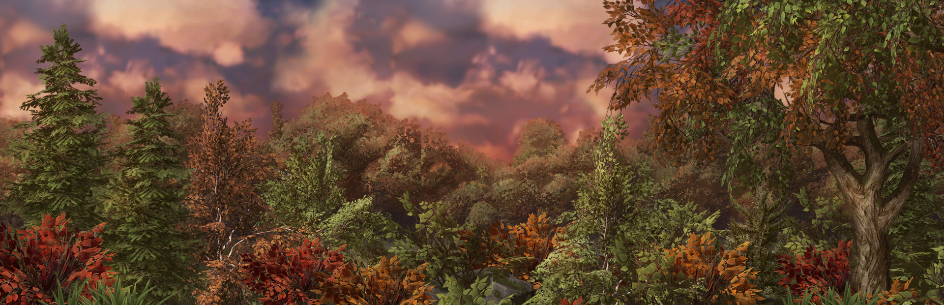 Deep, In the Forest