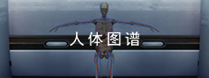人体图谱