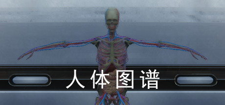 人体图谱 Cheat Engine/CT