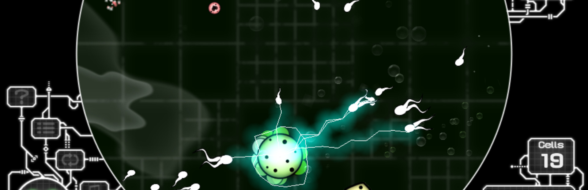 Microscope Madness