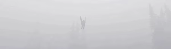 SANCTION video 2
