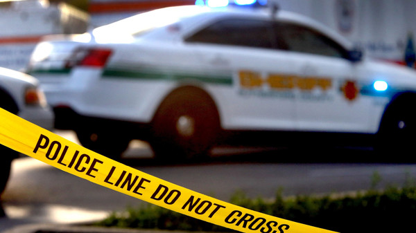 The Coroner Saga: Episode 2 - When night falls