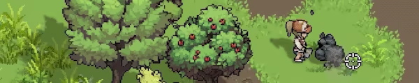 Zelter video 4