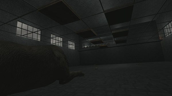 Screenshot z Puzzle Tower Screenshot z Puzzle Tower