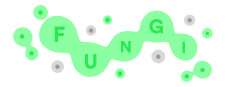 FUNGI