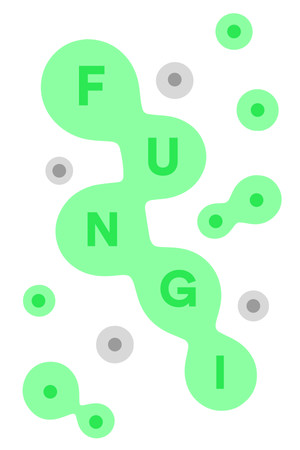 Обложка FUNGI