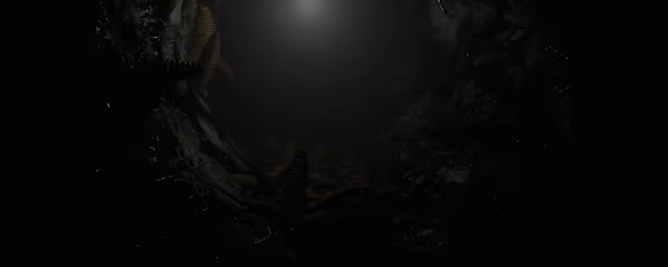 Spider Queen cave video 2