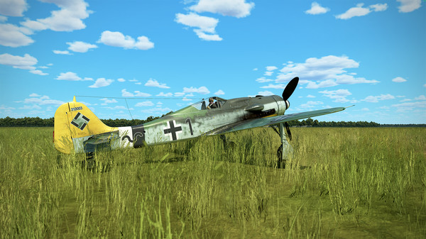 IL-2 Sturmovik: Fw 190 D-9 Collector Plane screenshot 7