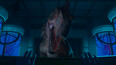 Screenshot #1