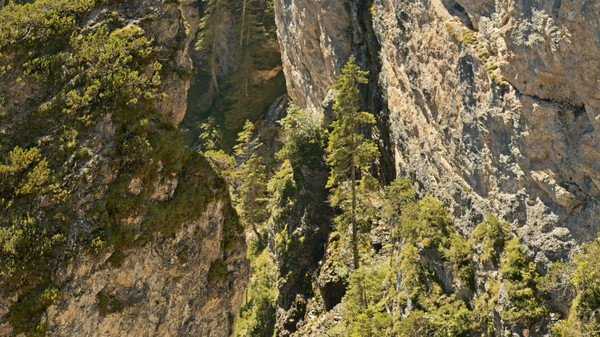 Screenshot z VR Gigapixel Gallery