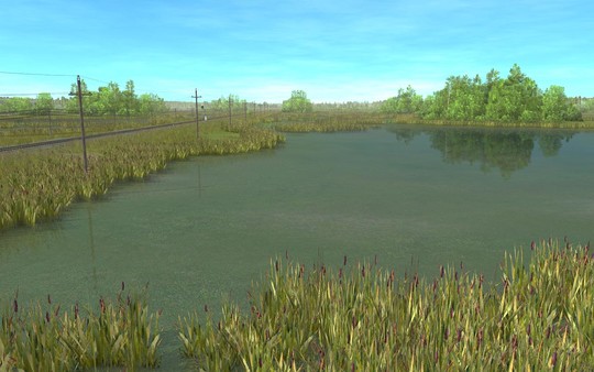 Trainz Route: Belarusian Woodland screenshot 8