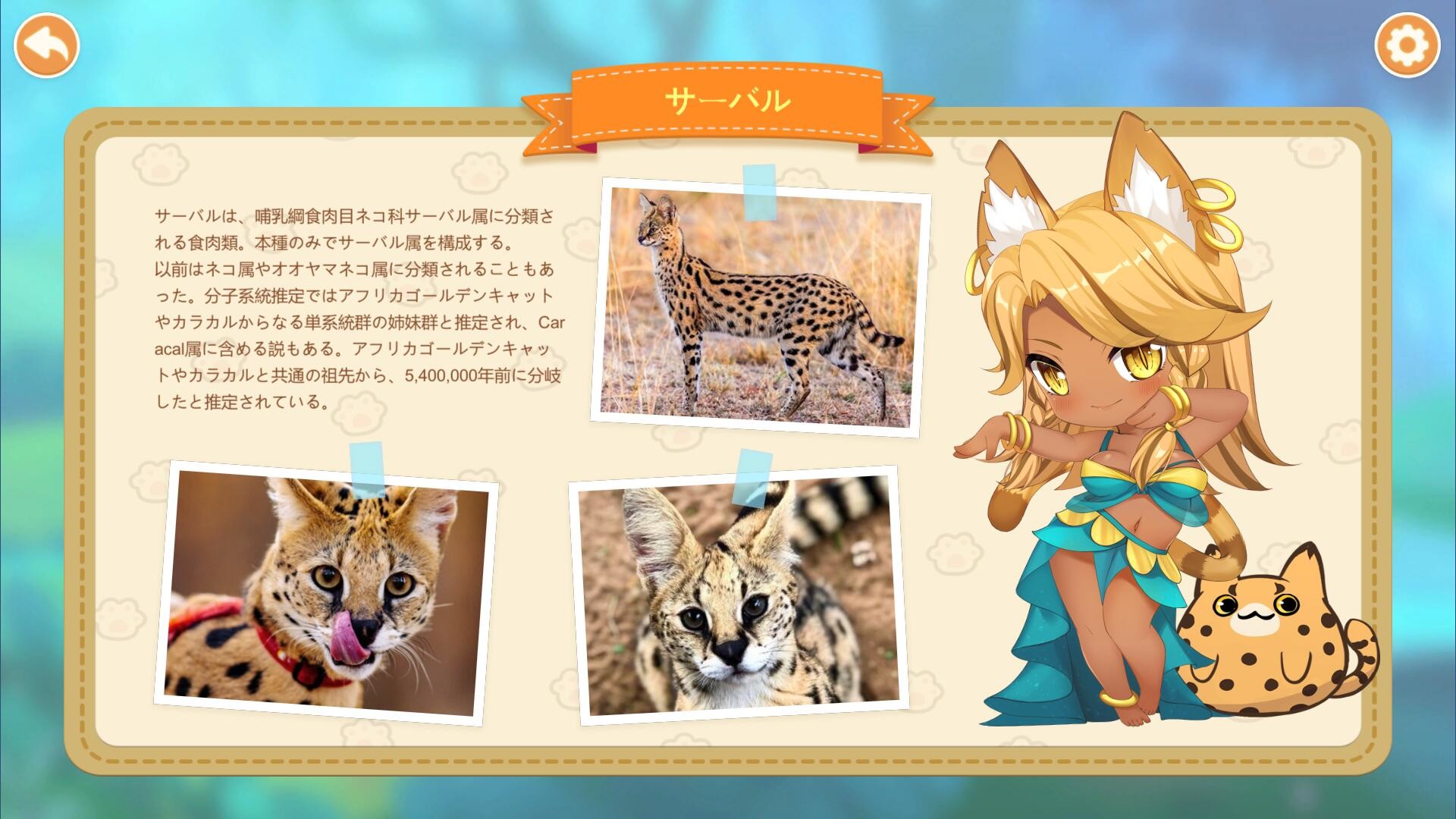 Miss Neko 2のスクリーンショット 1