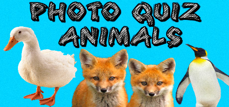 Photo Quiz - Animalsの作品画像