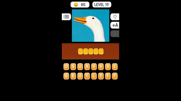 Photo Quiz - Animals.