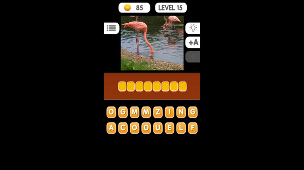 Photo Quiz - Animals.