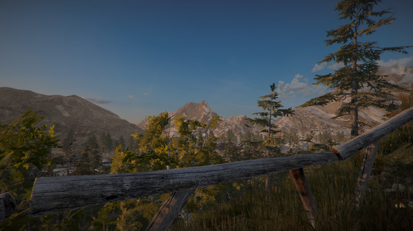 Screenshot z Position