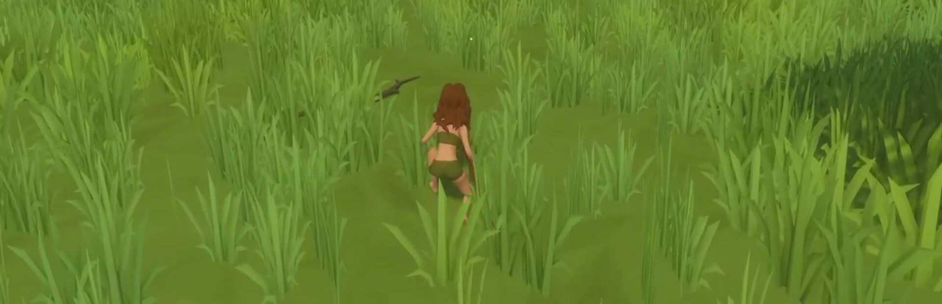 Primitive Survival