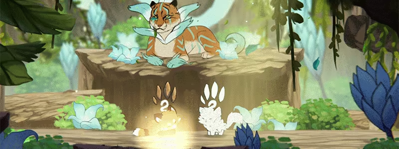 Ailuri video 2
