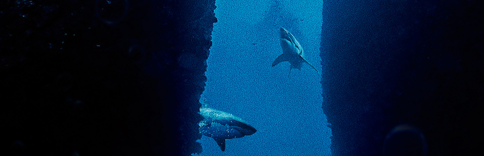 Submersed