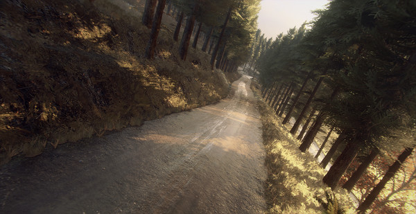 DiRT Rally 2.0 - Colin McRae: FLAT OUT Pack