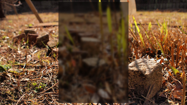 Lucid Aether screenshot 4