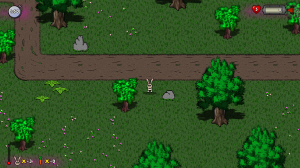 RUN HARE RUN