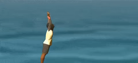 Pro Gymnast Simulator video 2